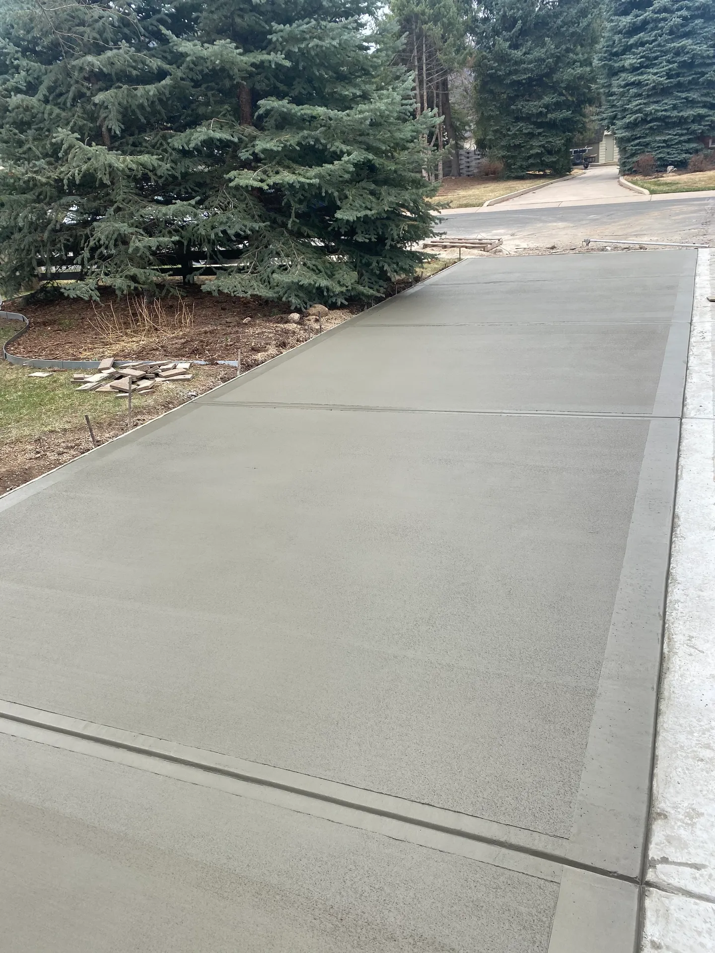 Long broom-finished concrete driveway lined with pines at a Black Forest, CO home
